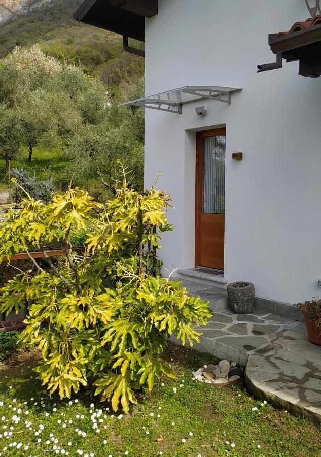 ليرنا Il Bogno B&B المظهر الخارجي الصورة